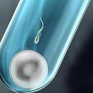 亳州第三代试管婴儿多少钱？Do三代试管婴儿多少钱？