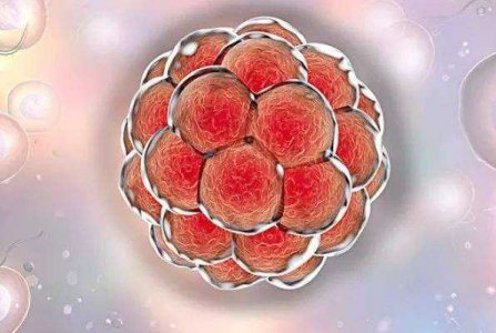 医院试管婴儿费用是多少？