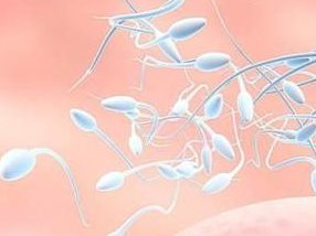 为什么试管婴儿要用药物促排卵？为什么建议单胚胎移植试管婴儿